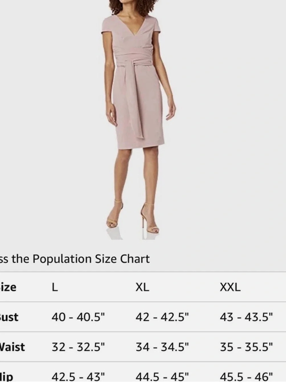 Dress the Population Mauve ElegantNeck Tie-Waist DressDusty Rose Women XXL-NWT